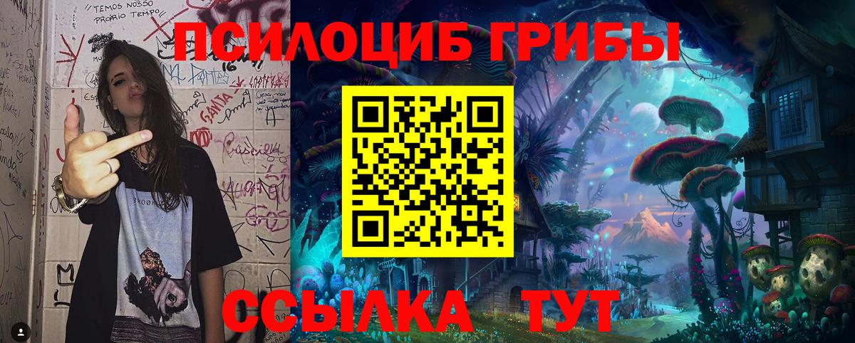 Псилоцибиновые грибы Magic Shrooms  Вход с VPN  Сальск 